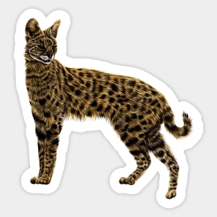 Serval cat Sticker